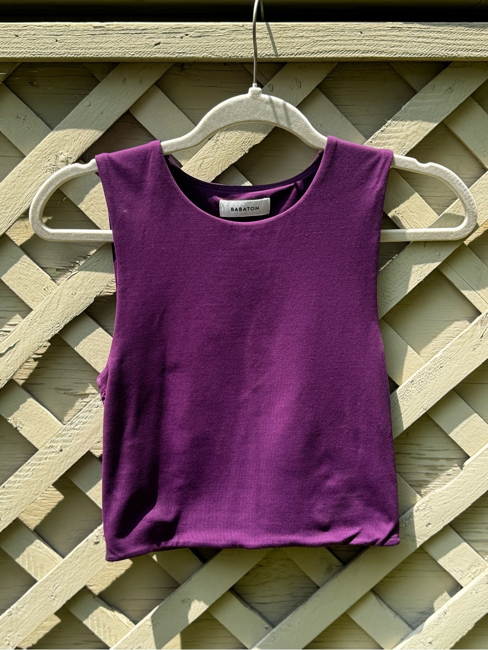 Babaton Plum Sleeveless Cropped Tank